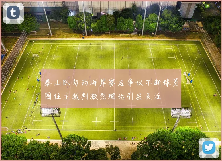 泰山队与西海岸赛后争议不断球员围住主裁判激烈理论引发关注