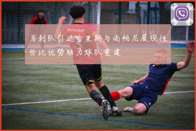 马刺队引进哈里斯与尚帕尼展现性价比优势助力球队重建